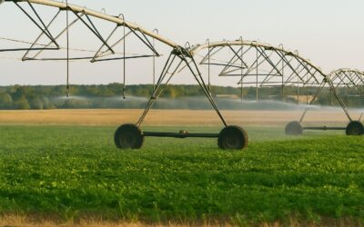 5 Costly Irrigation Mistakes Farmers Make (and How Smart Monitoring Solves Them)