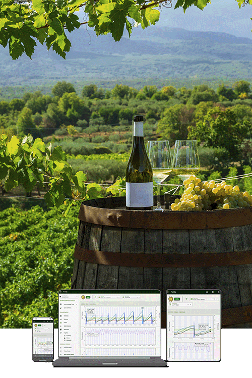 Vineyard with AgriLynk Dashboard on Devices