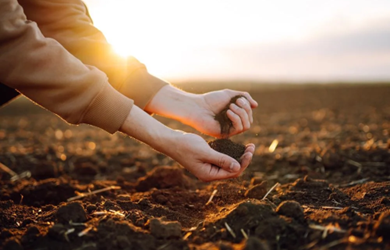 What Happens Below the Surface: Why Soil Moisture Visibility in Irrigation Matters More Than Ever