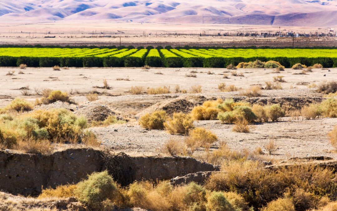 When Groundwater Becomes The Limiting Factor For California Farms