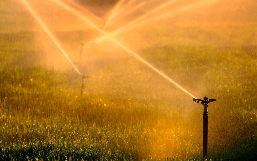 Early Season Heat Waves Make Irrigation Timing Harder to Manage