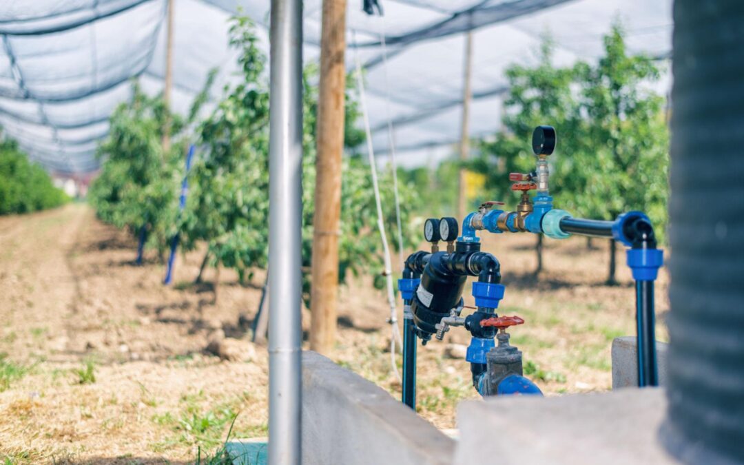 Irrigation valves and water infrastructure in an orchard supporting farm labor efficiency in irrigation operations