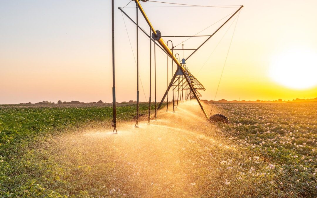 Center pivot irrigation system operating in a farm field at sunrise representing farm labor, technology, and agricultural decision making