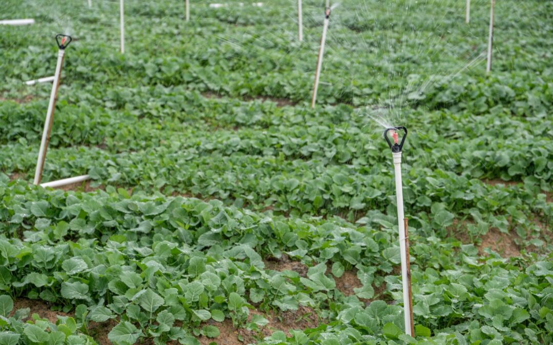 Modern irrigation system operating in an agricultural field as part of evolving agricultural technology trends
