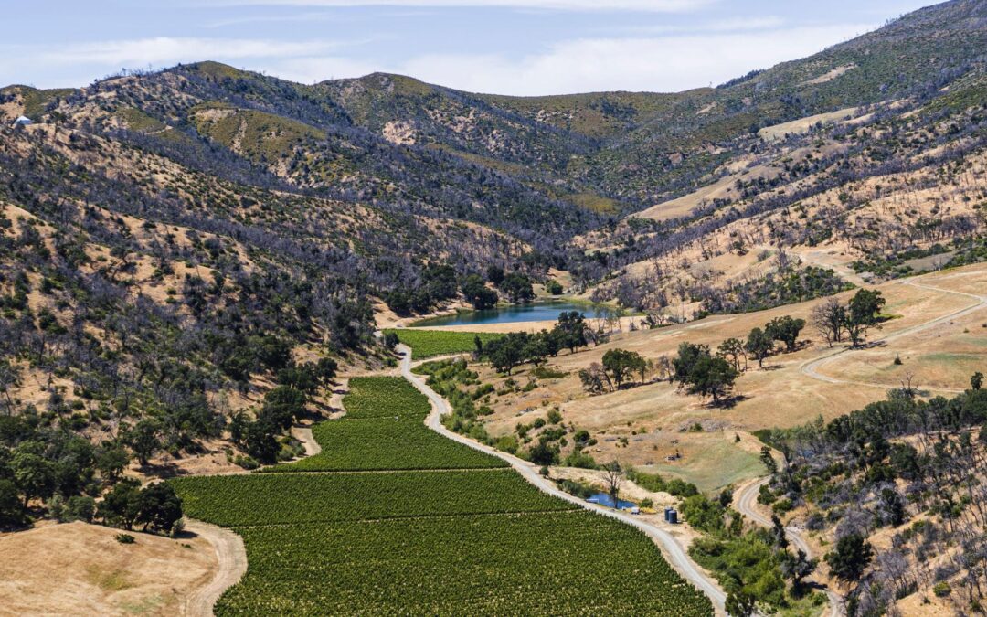 Low Snowpack Irrigation: How Changing Water Timing Is Affecting Irrigation Decisions