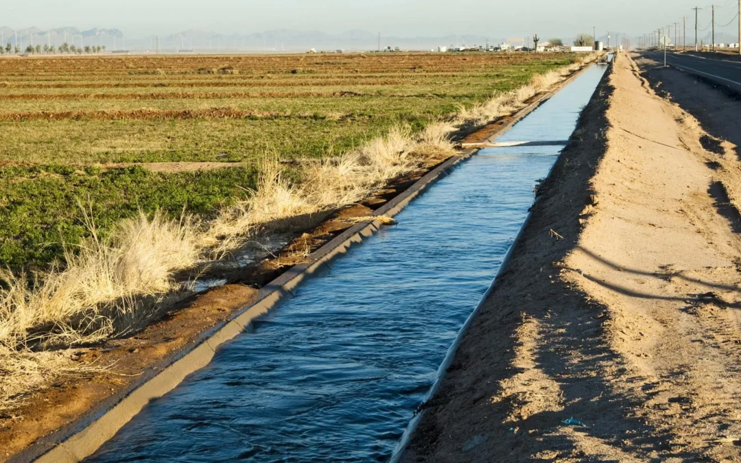 Irrigation canal delivering water to agricultural fields for crop production.