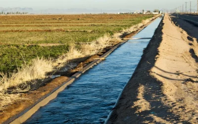 Agricultural Water Competition: Why Farmers Are Facing More Demand For Every Drop