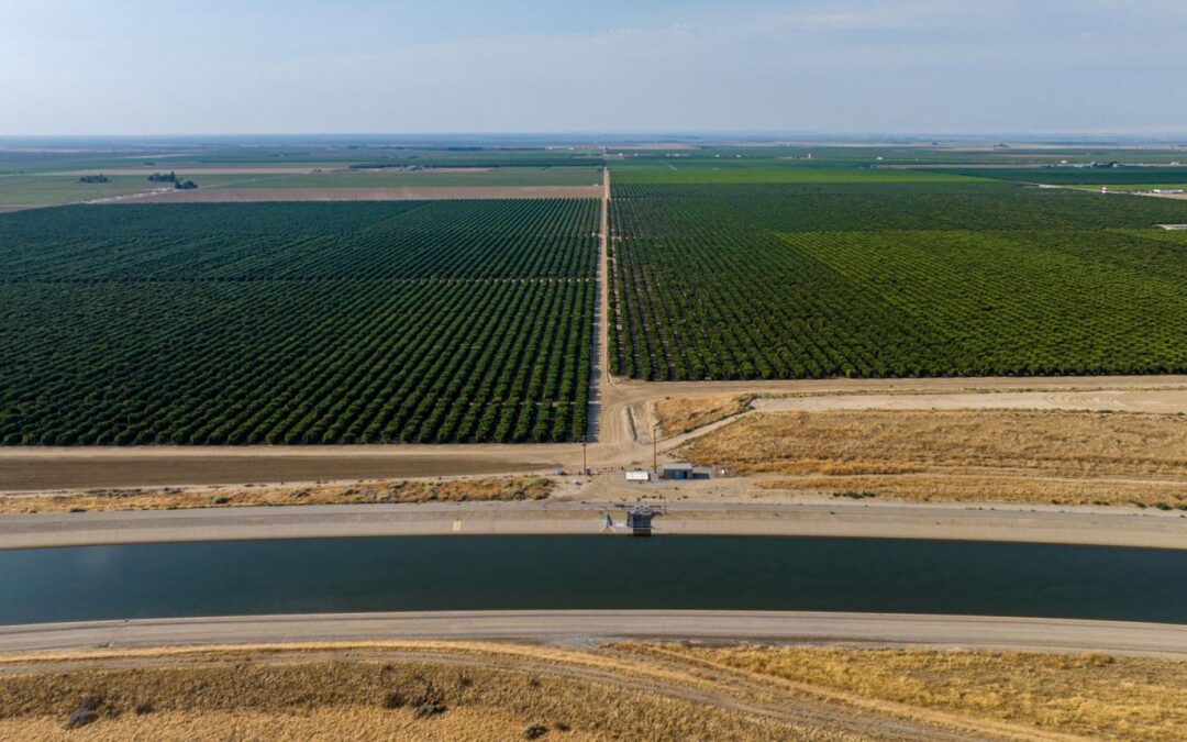Aerial view of agricultural orchards and irrigation canal illustrating groundwater monitoring trends and water management in California agriculture