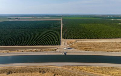 Groundwater Monitoring Trends: Why Data Transparency Matters