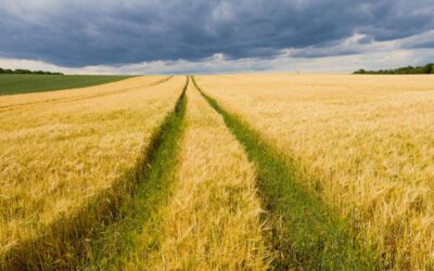 Agricultural Weather Volatility Is Becoming the New Normal