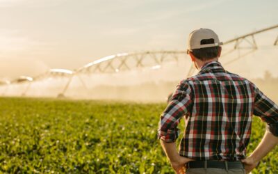 Agricultural Profitability Challenges: Why Efficiency Matters More Than Ever