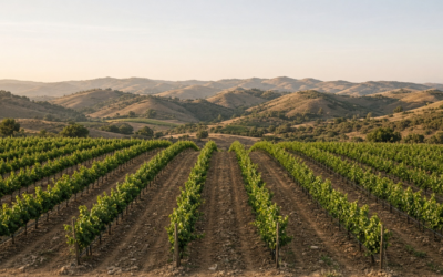 Soil Tension Irrigation Scheduling: When Centibar Readings Say Water